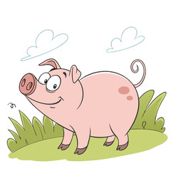 pig in the grass