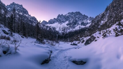 Winter Mountain Majesty: Snowy Peaks and Frozen Trails