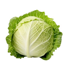 Fresh Head of Cabbage.  Healthy Vegetable for Cooking and Eating.