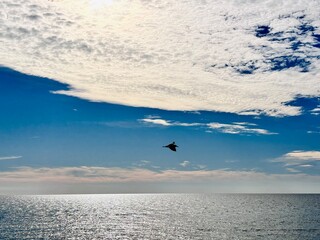 seagulls flying on the sunny beach 