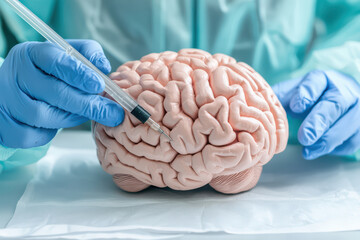 Medical professional in gloves injects syringe into detailed brain model, showcasing intricate anatomical features and textures