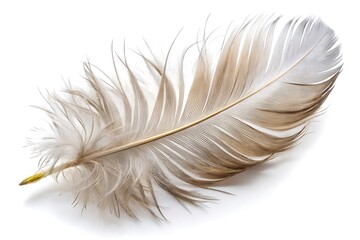 Fototapeta premium Lunar New Year Graphic Elements PNG | Festive Transparent Background Designs