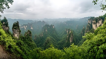 Fototapeta premium Misty Mountain Forest Landscape