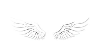 Obraz premium Wings Of The Angle