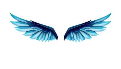 Obraz premium Wings Of The Angle