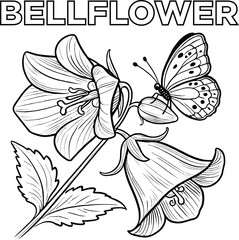 Fototapeta premium Petals & Pencils Stunning Flower Coloring Pages, Floral Fantasies Color Your Favorite Flowers