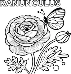 Petals & Pencils Stunning Flower Coloring Pages, Floral Fantasies Color Your Favorite Flowers