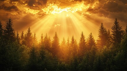 Obraz premium Golden sunlight breaking through clouds in forest landscape captivating nature majestic atmosphere
