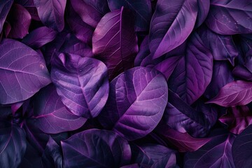 Purple leaves layout with supernatural concept and ultra violet colors.