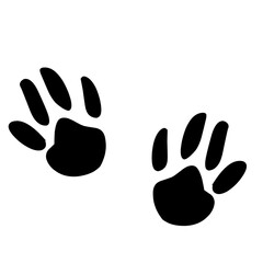 wild wood animal tracks. Animal paw prints, vector different animals footprints black on white illustration. 