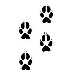 wild wood animal tracks. Animal paw prints, vector different animals footprints black on white illustration. 