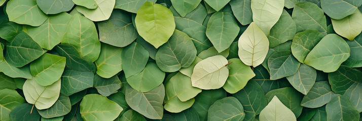 A dense compilation of green leaves laid closely together, showcasing different shades and patterns, offering a soothing and natural aesthetic reminiscent of a lush forest.
