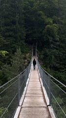 Girl on a bridge 