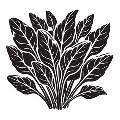 Spinach Silhouette Vector Illustration, Solid White Background.