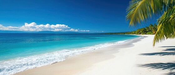 Serene beach view with turquoise waters and palm trees under a clear blue sky.
