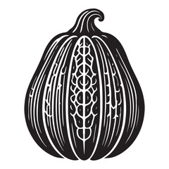 Squash Silhouette Vector Illustration, Solid White Background.
