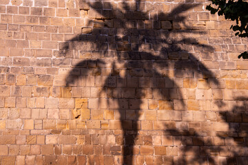 Colors of Nicosia: A vibrant blend of tradition and modernity, where the warm hues of historic...