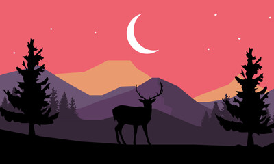 deer at sunset