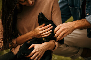 Cheerful man and woman petting their dog and sharing fresh fruit and sandwiches during a sunny park picnic