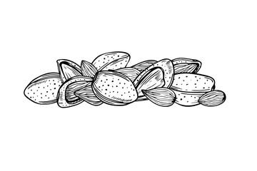 Peeled and unshelled almond pile hand drawn vector sketch in black and white color. Nuts monochrome illustration. Organic healthy food ingredient etching drawing for package design, menu, label
