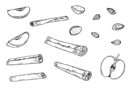 Fruit slices, nuts, and cinnamon sticks set line art black ink sketch. Apples, almond and seasoning monochrome illustration hand painted. Ingredients for the design of invitation, advertising posters