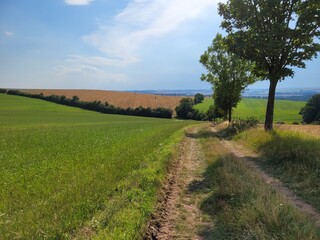Obraz premium A summer walk in rural Germany