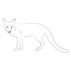 Fox line art vector design. Fox outline illustration design.