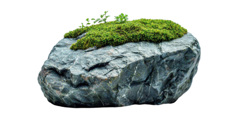 Moss-covered rock with green plants isolated on transparent background