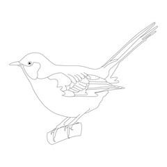 Bird black Vector line art design. Bird Outline illustration.
