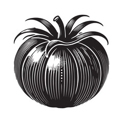 Tomato Silhouette Vector Illustration, Solid White Background.