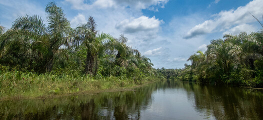Beautiful view of the Black River