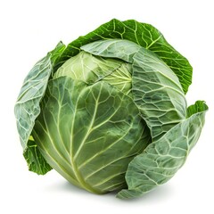 Fresh green cabbage with intact leaves, isolated on a white background