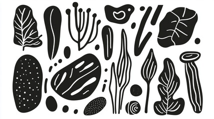 Abstract doodles of shapes, plants, and lines for modern design
