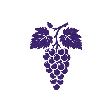 recommend clip art: Grapes fruit vector illustration, Grapes icon. Bunch of purple grapes with stem and leaf. Vector illustration isolated on white background.