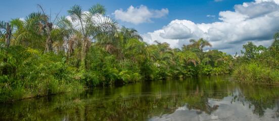 Beautiful view of the Black River