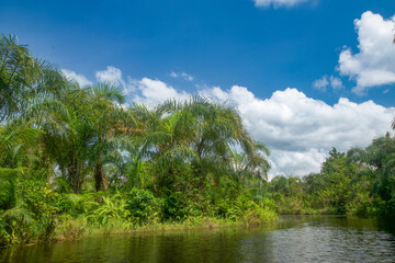 Beautiful view of the Black River