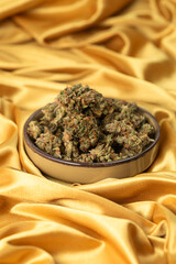 in a white young female hand a dry bud of medical marijuana. On a festive golden background