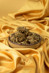 in a white young female hand a dry bud of medical marijuana. On a festive golden background