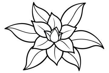 Obraz premium Elegant Flower Line Art: Minimalist Vector Illustration for Design Projects, Featuring Delicate Floral Outlines