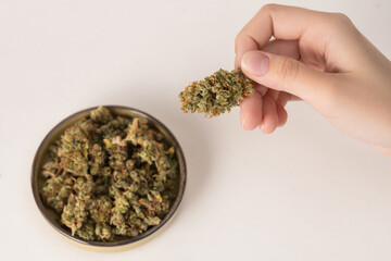 young white female hand holding dry buds of medical marijuana, next to it in a bowl there are more cannabis flowers. On a light background