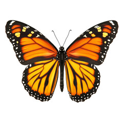 Fototapeta premium Common Tiger Butterfly or Danaus genutia isolated on white background insect orange wings with black stripes and white spots beautiful monarch butterfly colorful spring nature wildlife animal close