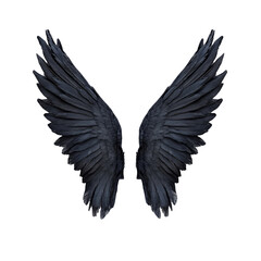 Fototapeta premium Pair of isolated black wings spread open on a white background freedom power and spirituality concept dark angel wings halloween decoration gothic style tattoo design element bird feathers nature