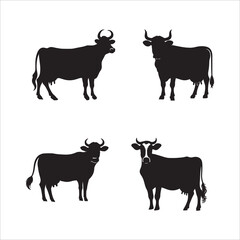 Fototapeta premium black and white cows