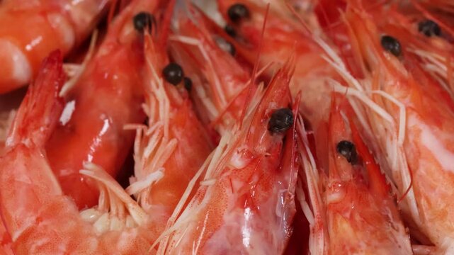 assiette de crevettes et mayonnaise, en gros plan