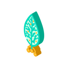 biotech leaf agri tech isometric icon vector. biotech leaf agri tech sign. isolated symbol illustration