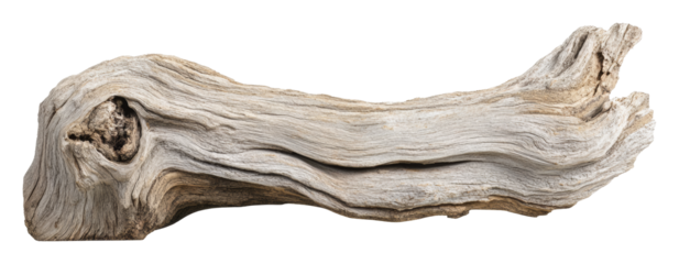 Weathered driftwood log isolated on transparent background