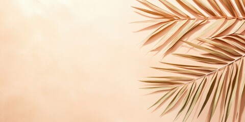 Obraz premium The soft shadow of tropical leaves on pastel color wall background with copy space 