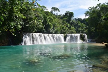 Obraz premium A sparkling waterfall in a lush forest 