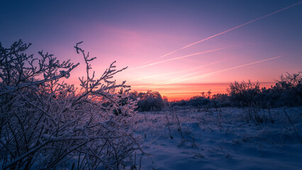 Winter landscape frosty trees in winter forest in the sunny morning. Winter landscape with snowy...