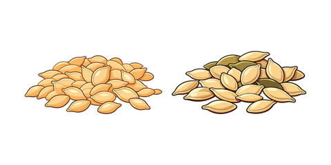 Pumpkin seed vector set on white background